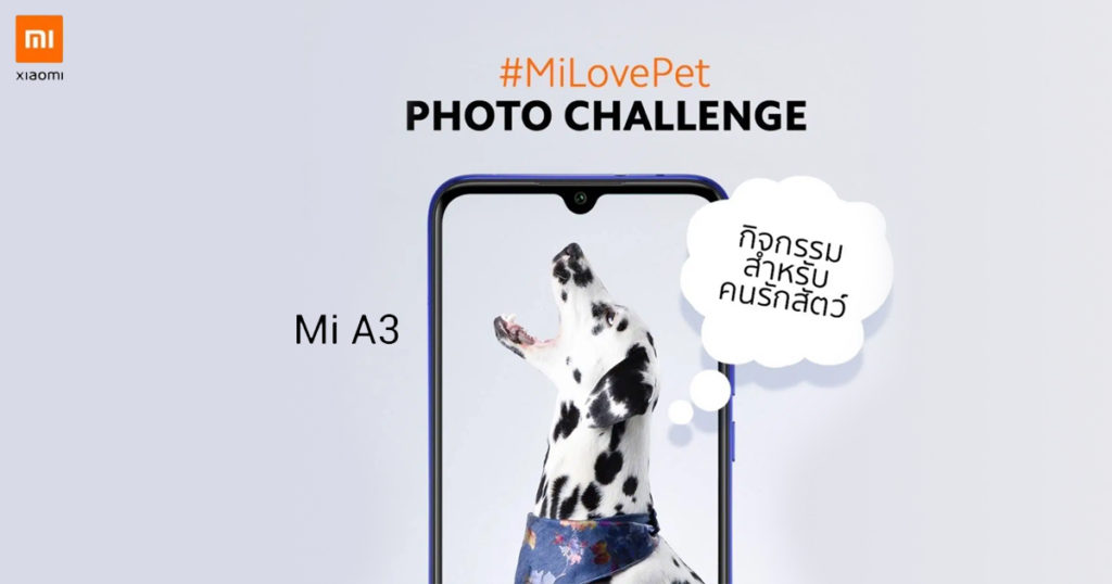 เสียวหมี่ท้าพิสูจน์ประสิทธิภาพกล้องระดับเรือธงของ Mi A3  ใน #MiLovePet แคมเปญประกวดภาพถ่ายสัตว์เลี้ยงสุดน่ารัก