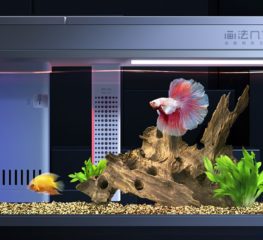 ตู้ปลาอัจฉริยะ Xiaomi Geometry Control AI Fish Tank ให้การเลี้ยงปลาตู้ง่ายขึ้น