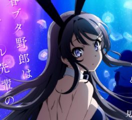 Anime Review | เรื่องฝันปั่นป่วยของผมกับรุ่นพี่บันนี่เกิร์ล “ชีวิตวัยรุ่นนั้นไม่ง่ายเลย”